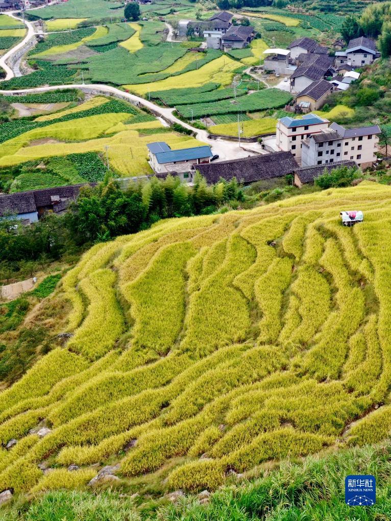 新宝6登录地址